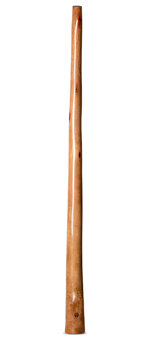 Wix Stix Didgeridoo (WS225)